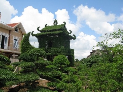 Vị Khê - Làng cây cảnh cổ nhất Việt Nam - ảnh 1